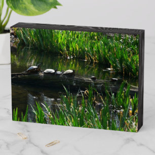 Row of Turtles Green Nature Photo Wooden Box Sign