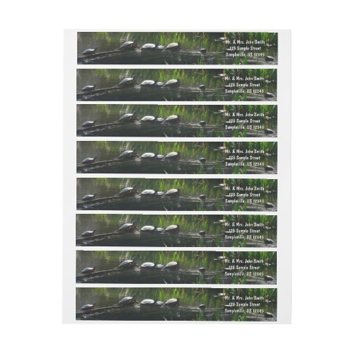 Row of Turtles Green Nature Photo Wrap Around Label