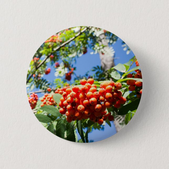 Rowan Button (Front)