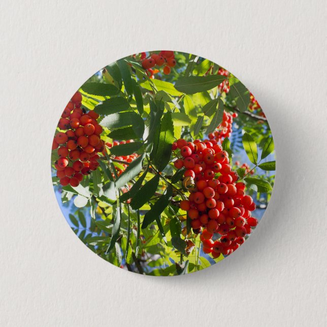 Rowan Button (Front)
