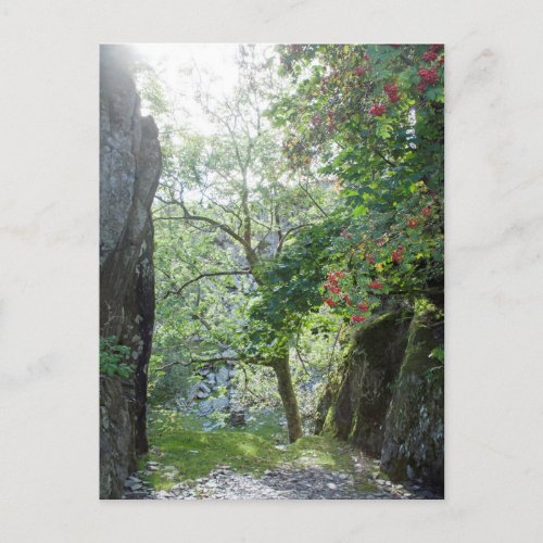 Rowan Tree Tilberthwaite Quarry Card