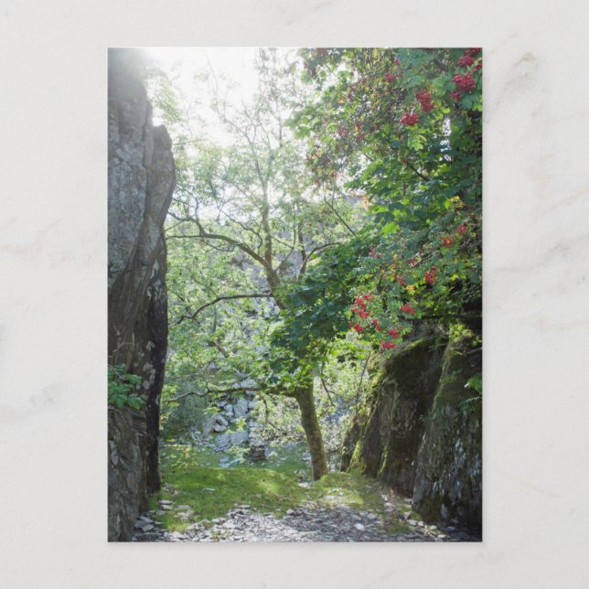 Rowan Tree Tilberthwaite Quarry Card (Front)