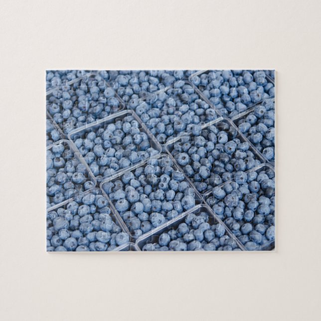Rows of blueberries jigsaw puzzle (Horizontal)