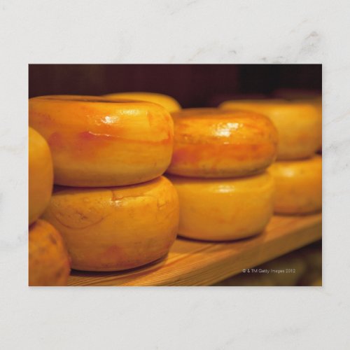 rows of colourful yellow Edam cheeses lined up Postcard