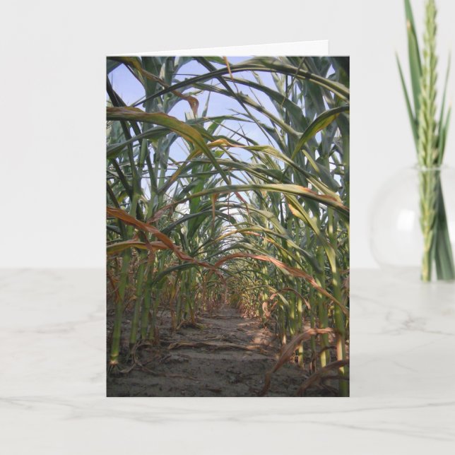 “Rows of Corn" Hallowe’en Card (Front)