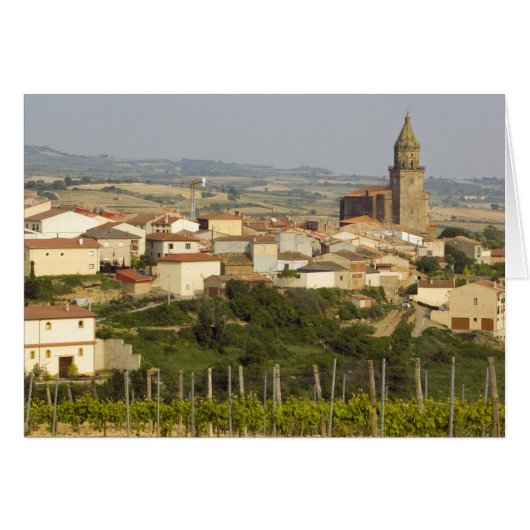 Rows of grape vines in the foreground frame the cards (Front Horizontal)