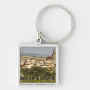 Rows of grape vines in the foreground frame the keychain