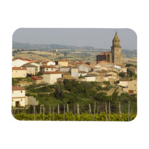 Rows of grape vines in the foreground frame the magnet
