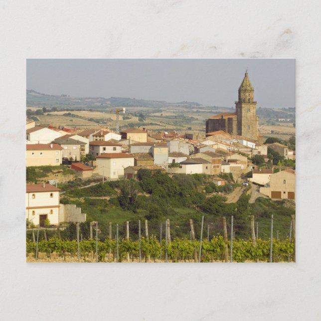 Rows of grape vines in the foreground frame the postcard (Front)