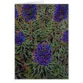 Rows of Lavender (Front)