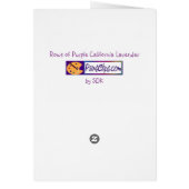 Rows of Lavender Cards (Back)