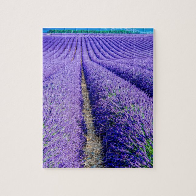 Rows of Lavender, Provence, France Jigsaw Puzzle (Vertical)
