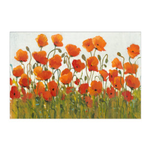 Rows of Poppies I Acrylic Print
