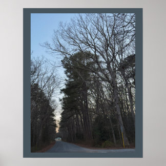 Rows of Trees Poster