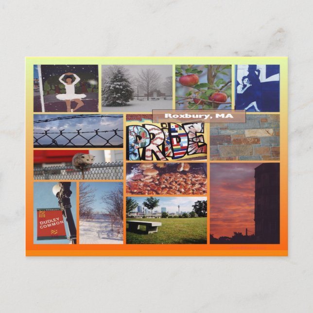 Roxbury, Massachusetts Photo Collage 9958 Postcard (Front)