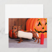 Roxy - Mini Dachshund - Elliott (Front/Back)