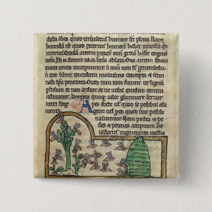 Roy Page of text with illustration of Button
