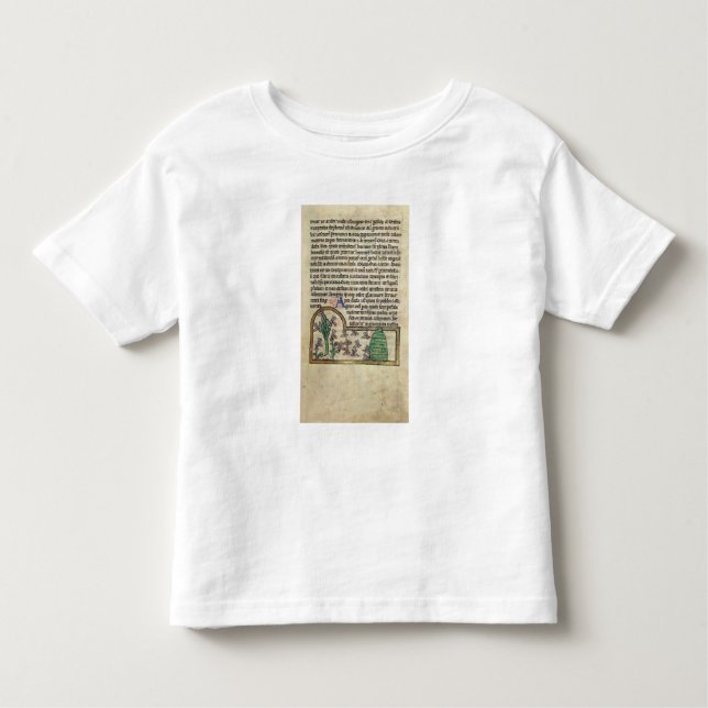 Roy Page of text with illustration of Toddler T-shirt (Front)