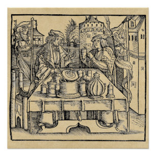 Royal Alchemist in the Castle Perfect Poster