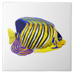 Royal Angelfish Ceramic Tile<br><div class="desc">This colorful Royal Angelfish in black, yellow white and blue is great for those looking for nautical themed artwork. Use in a DIY project, frame it or tile the bath.</div>