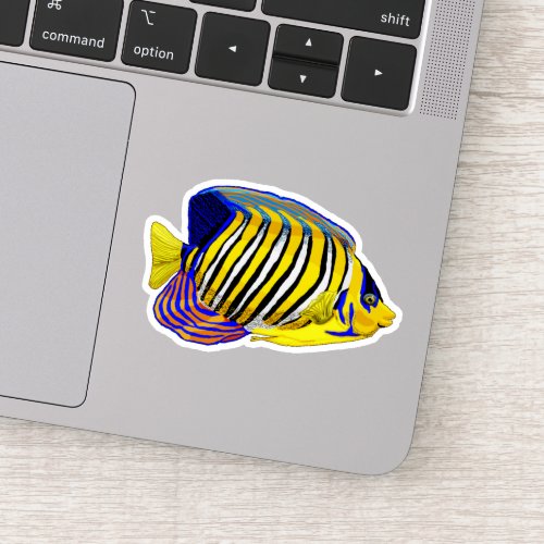 Royal angelfish  sticker