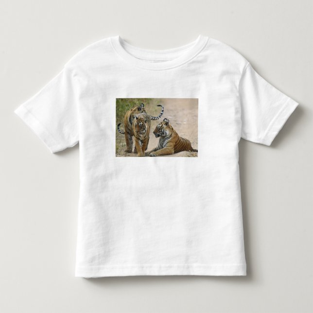 Royal Bengal Tiger and young ones, Ranthambhor Toddler T-shirt (Front)
