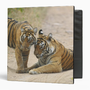 Royal Bengal Tiger and young - Touching ahead, Binder