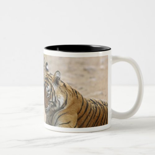 Royal Bengal Tiger and young _ Touching ahead Two_Tone Coffee Mug