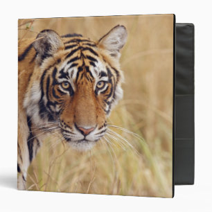 Royal Bengal Tiger Binder