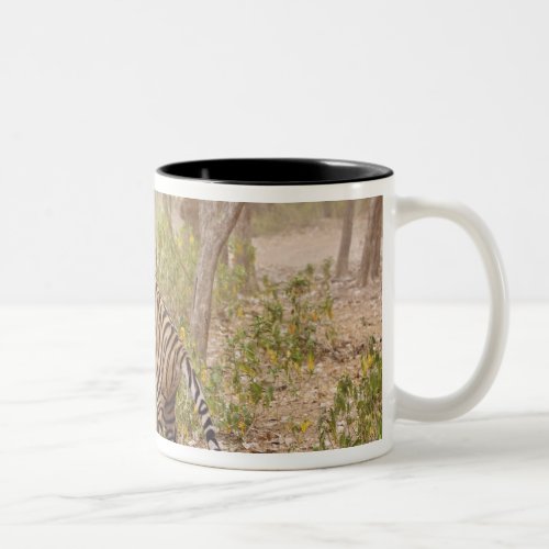 Royal Bengal Tiger climbing up the tree Two_Tone Coffee Mug