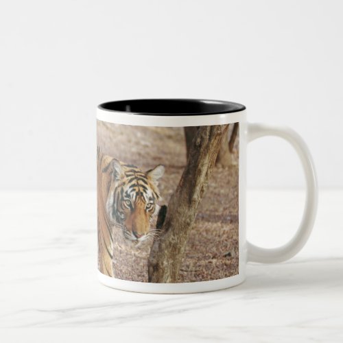 Royal Bengal Tiger coming out of woodland Two_Tone Coffee Mug