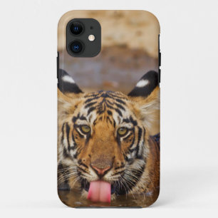 Royal Bengal Tiger cub, drinking water iPhone 11 Case