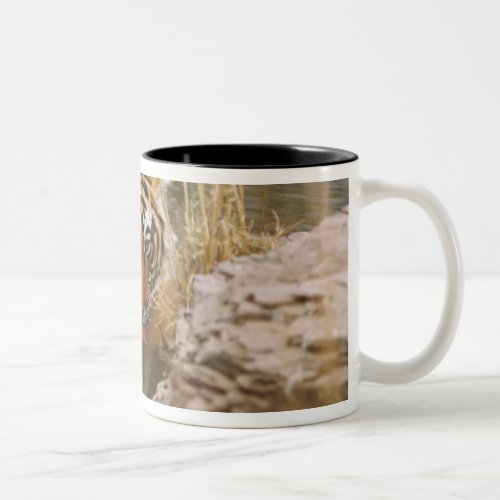 Royal Bengal Tiger drinking in the forest Two_Tone Coffee Mug