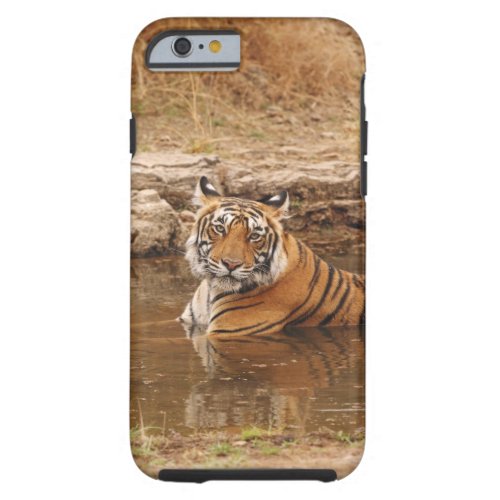 Royal Bengal Tiger in the jungle pond 2 Tough iPhone 6 Case