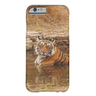 Royal Bengal Tiger in the jungle pond, 2 Barely There iPhone 6 Case
