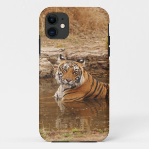 Royal Bengal Tiger in the jungle pond, 2 iPhone 11 Case