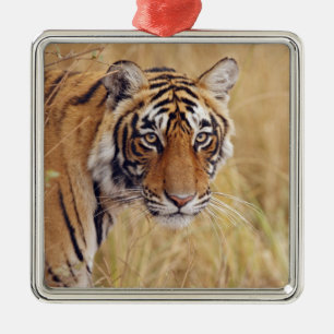 Royal Bengal Tiger Metal Ornament