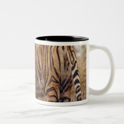 Royal Bengal Tiger on uphill Ranthambhor Two_Tone Coffee Mug