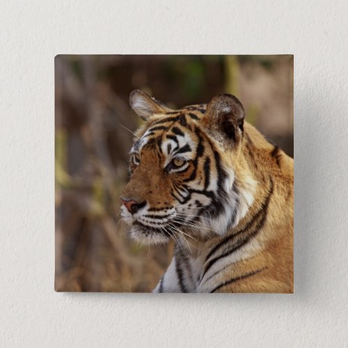 Royal Bengal Tiger Ranthambhor National Park 2 Button