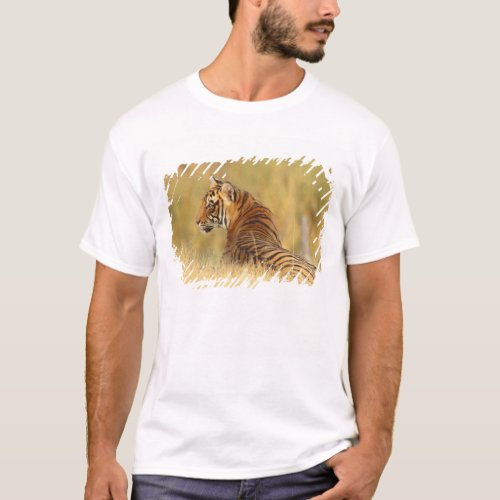 Royal Bengal Tiger sitting outside grassland 2 T_Shirt