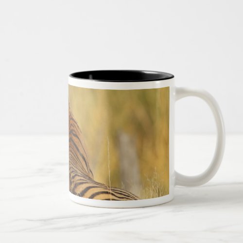 Royal Bengal Tiger sitting outside grassland 2 Two_Tone Coffee Mug