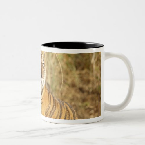 Royal Bengal Tiger sitting outside grassland Two_Tone Coffee Mug
