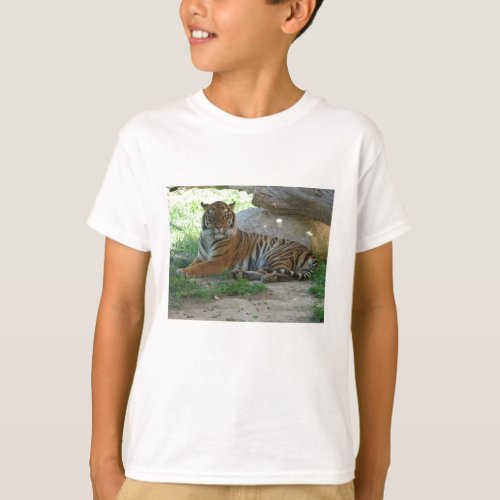 Royal Bengal Tiger T_Shirt