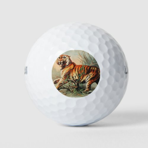Royal bengal tiger  Tiger Year 2022 Golf Balls
