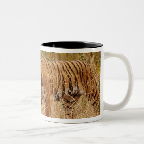 Royal Bengal Tiger walking around the bush Two_Tone Coffee Mug