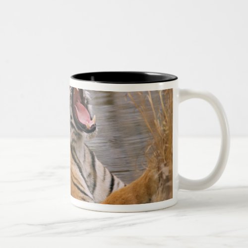 Royal Bengal Tiger yawning in the jungle pond Two_Tone Coffee Mug