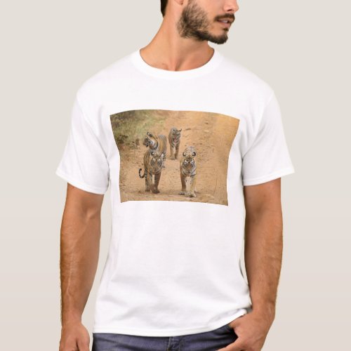 Royal Bengal Tigers on the track Ranthambhor 2 T_Shirt