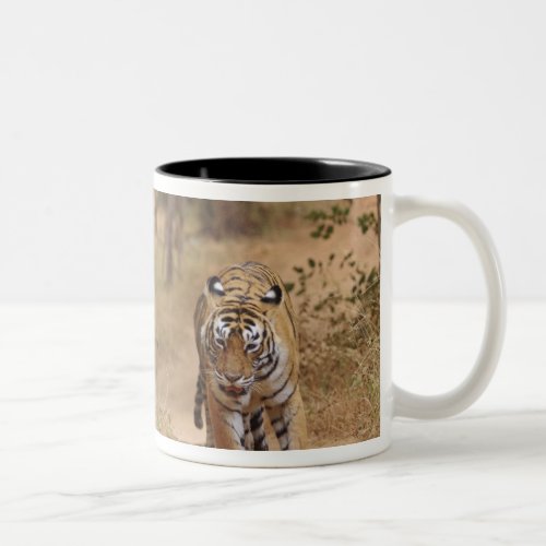 Royal Bengal Tigers on the track Ranthambhor 3 Two_Tone Coffee Mug