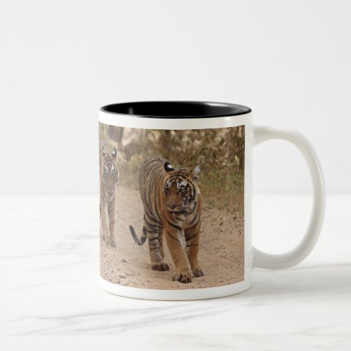 Royal Bengal Tigers on the track Ranthambhor 5 Two_Tone Coffee Mug