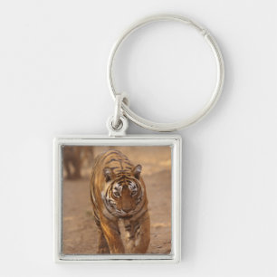 Royal Bengal Tigers on the track, Ranthambhor Keychain